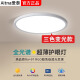 Electricista internacional Spectrum Protección de ojo LED Luz de la luz del dormitorio Redroom Round Light Modern Simple Study Light 9756W Garantía de calidad de 10 años Protección de ojos de espectro completo RA9756
