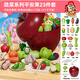 纽奇儿童水果切切乐玩具水果蔬菜仿真厨房宝宝过家家生日礼物男女孩