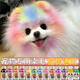 Teddy special dog hair dye pet dye puppy hair dye cream dog hair decontamination powder hair dye dye cream pet specialty cherry blossom powder upgraded version 3.0
