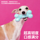 ZEZE dog toy self-healing resistant molar chewing ball rubber small ball rope knot to relieve boredom small and medium-sized dog training ball