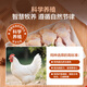 Member Store No. 1 Antibiotic-free single-frozen chicken wings, export-grade small chicken legs, grilled chicken wings, fried chicken wings, braised chicken wings, braised chicken wings, net weight 2Jin Jin is equal to 0.5kg
