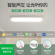 大观园过道灯走廊灯led吸顶灯现代简约北欧长条客厅灯书房阳台灯具263 3892-白色60cm-中性光24W-全光谱
