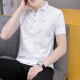 Camiseta de manga corta de la solapa de verano Polo de la marca de moda