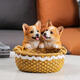 Ornamentos de almacenamiento de la llave de entrada de perro creativo de Hongjian colocados en la puerta de entrada del escritorio Decoración del escritorio de la calzado NUEVA CORGIA DE REGALO DOBLE CORGI (14069A)