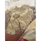 New national standard flour gbt1355-2021 Shaanxi Farm Farm Wheat Flour contains germ medium tendons household white flour 70 powder 50 Jin [Jin equals 0.5 kg] (10 packages)