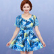 Yifu new product/mother's hot spring swimsuit for middle-aged and elderly women conservatively covers the belly and looks slimming plus size fat mm blue. L