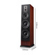HiVi RM800F home theater audio 2.0 channel quad-frequency HiFi high-fidelity floor-standing box requires power amplifier