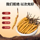 同芙 冬虫夏草2根/g 10g 20根礼盒装 滋补营养补品送长辈礼品礼物