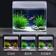 Changrui Small Fish Tank Small Desktop Living Room Household Glass No-Water Change Mini CR230+ Water Orchid Green Bamboo Scenery (Real Aquatic Plants)