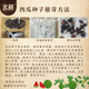 Beishu Jingxin watermelon seeds seedlings big red flesh thin skin super crispy sweet potted melon seeds Jingxin watermelon seeds about 50 pieces