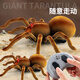Genius Beibei (tianibebei) Grande télécommande araignée luxueuse réelle modèle pour enfants Pénérale électronique Prank effrayant jouet électrique Gift Crawling Gift Induction Spider-Brown 9902B + Tournevis Norme officielle Standard