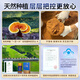 Yuanshengtai Gao Triterpene Ganoderma lucidum spore oil soft capsules broken wall Ganoderma lucidum spore powder essence Nutritional health products for middle-aged and elderly people