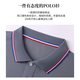 真维斯（Jeanswest）短袖POLO衫夏季纯色绣标上衣服polo衬衫 白色698 4XL （建议160-180斤）