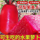 Tianfen Pineapple Fruit Radish Seeds Purple Beauty Radish Seeds Red Heart Red Skin Farm Fresh Vegetable Seeds in Autumn and Winter Seasons Pineapple Fruit Radish Seeds 300 capsules/1 pack + fertilizer