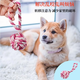 Dog Toy Resistant to Bite and Molar Teeth Cleaning Set Cotton Rope Braided Ball Interactive Training Screaming Chicken Dog Supplies Collection Dog Relief Six-piece Set - Popular Style - Random Colors