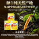 Jiuzhitang Taikang Tea 3 boxes Cordyceps sinensis Ganoderma lucidum nourishes liver protection enhances immunity gift high-end gift for people blue hat certification