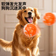 Zanpet round flashing sound ball orange and white, bite-resistant and not easy to rot, teeth grinding training interactive self-pleasure and boredom relief bell ball