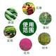 Stanley 10 Jin Jin is equal to 0.5 kilogram 20 Jin Jin is equal to 0.5 kilogram 30 Jin Jin is equal to 0.5 kilogram 50 Jin Jin is equal to 0.5 kilogram 100 Jin Jin is equal to 0.5 kilogram Organic fertilizer compound fertilizer is universal for agricultural vegetables, flowers and fruit trees 50 Jin Jin is equal to 0.5 kilogram The original packaging bag is sent