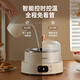 Lock-Lock-Joghurt-Maschine für Haushalt kleine automatische multifunktionale hausgemachte konstante Temperatur Natto-Reisweinfermentation Maschine für eine Person zum Weiß [verbesserter Edelstahl Innenauskleidung + 10 kleines Phagenpulver]