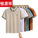 恒源祥夏季短袖男士翻领T恤休闲简约百搭青年冰丝衬衫领半袖polo衫 棕红色 QY724 XL 【135-145斤】 【精选面料】