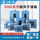 上海一恒电子电热恒温鼓风干燥箱实验室DHG9030A工业烘箱烤箱 以下为选购项；加购配件选