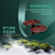 沛元 有机破壁灵芝孢子粉 增强免疫力100g/盒
