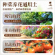Genlibean coconut brick nutritious soil and flowering general type coconut shell brick flower soil soil planting soil vegetable desalinated coconut bran brick wholesale desalinated coconut bran brick [675G three pieces]