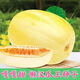 Gagatian Northeastern cantaloupe seeds, yellow melon fruit seeds, easy to grow in spring and autumn, high sugar content, old farm varieties, Gagatian seeds, 3 packs, about 300 grains