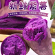 Authentic sandy land premium purple sweet potato, freshly dug, soft, glutinous, sweet, purple sweet potato, selected sweet potato, shipped directly from the origin, containing box 1Jin Jin is equal to 0.5kg, medium fruit, single fruit (3 taels - 6 taels)