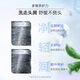 滋源洗发水露柔顺无硅油护发润泽柔亮抚平毛躁馨香洗发膏 茶树控油去屑精油洗发水750ml