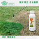 Guoguang Green Turf Lawn Dye Phthalocyanine Green Color Really Adhesive and Long-lasting It Turns Green in One Spray Official Authentic 500ml*1 Bottle