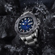 
Seagull Watch Men's Watch Diving Watch Double Calendar Depth Waterproof Mechanical Watch Steel Belt Ocean Series 1047 Sea Sand Silver