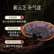 WILAKON/维乐康破壁灵芝孢子粉胶囊增强免疫力术后放化疗中老年人营养品90粒/盒