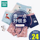 Kinderunterwäsche Boxer Hosen Junge rein Baumwolle Unterwäsche vier Ecke Baby Jungen Kinder mittelgroße Kinder-Baumwoll-Shorts 100 G477 Bärenkuh (4 Packungen 125 140 cm empfohlen High-13546-58jin [Jin gleich 0,5 kg]