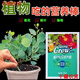 Bud Power Green Plant Fertilizer Slow Release Stick Nutrition Stick Flower Fertilizer Household Flower Gardening Universal Potted Plant Stick Flower Slow Release Fertilizer Trendy New Fertilizer/Plant Nutrition Bar Green Leaves + Flower Boosting + Root Strengthening 3 boxes of 54 pieces