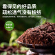 Genlibean coconut brick nutritious soil and flowering general type coconut shell brick flower soil soil planting soil vegetable desalinated coconut bran brick wholesale desalinated coconut bran brick [675G three pieces]