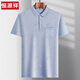 
Hengyuanxiang Middle-aged Ice Silk Short-sleeved T-shirt Men's Daddy's Lapel Casual T-shirt Middle-aged Thin POLO Shirt Summer Clothes T Ice Silk-9923 Blue Real Pocket M 48/165