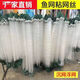 Tianlong pattern sticky mesh wire mesh fishing net three layers sinking net single layer floating net fishing net crucian carp silver carp and bighead carp white strip net fishing net single layer sinking net 2 fingers 20 meters 1.2 meters high