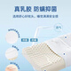 高端泰国原装进口乳胶枕头100%乳胶枕天然乳胶枕头低枕芯一对套装 9908释压中枕+内外枕套【1只装】