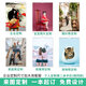 2025儿童油画挂历定制彼得兔月历小清新居家用新款竖款印刷日历 童话