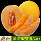 High-sugar, sweet Jinsha honey cantaloupe seeds, genuine Xinjiang reticulated melon high-yielding spring early-maturing fruit seeds, Xinjiang Jinsha cantaloupe seeds, about 50 capsules