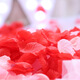 
Zi Jiafu simulated rose petal wedding table decoration hand-spreading flowers Valentine's Day proposal to create romantic wedding room decoration supplies color pack (about 100 pieces) petals