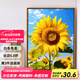 Jingzuo (Jingzuo) Sunflower Digital Huile Peinture DIY Coloriage peinture salon suspendu peinture décorative peinture à l'huile peinte à la main