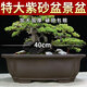 Yixing purple clay flower pot classical ceramic pot succulent pot flower old pile tree planting four square bonsai pot orange red 848 small purple clay