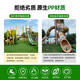 Simulated lawn carpet, green plastic decoration, artificial grass bedding, kindergarten artificial floor mat, outdoor fake turf, 2cm encrypted soft spring grass, 95% selected, free sample delivery, large quantity can be negotiated