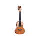 AJIMA full single mahogany bright ukulele beginner male student adult female small guitar A5 23-inch wood color electric box model