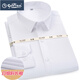 Goldlion's new men's long-sleeved shirt for men's twill solid color plus fat plus size daily wedding free breathable shirt for men 829-1 blue 5XL 44