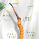 Fresh Cordyceps sinensis 2025 first-year Cordyceps authentic leader high-altitude gifts authentic fresh Cordyceps festival 1.2 grams/root or more 50 high-end gift boxes
