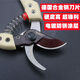 Sailotou 130S gardening pruning scissors household branch pruning shears steel garden fruit tree pruning scissors Qintian 130S 0S pruning shears