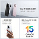 OnePlus 13t National Subvention Super Small Snocy Snapdragon 8 Supreme Edition Glacier Battery AI 5G Gaming Oppo Mobile Yunmo HEI 16 GB+512 GB Offizieller Standard